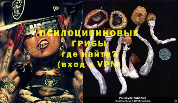 хмурый Алексеевка