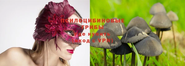 кокс Абдулино
