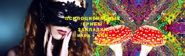 мдпв Абинск