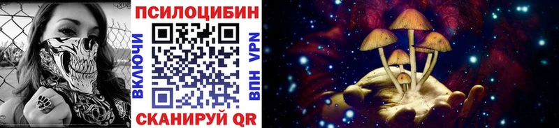 Галлюциногенные грибы Magic Shrooms Покачи